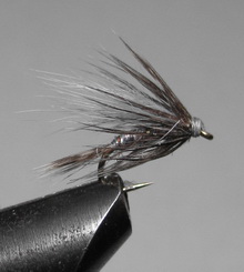 ���� ������ Wet fly 